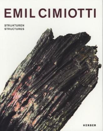 Cover Cimiotti Buch 2013