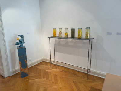 xIMG_8005 400